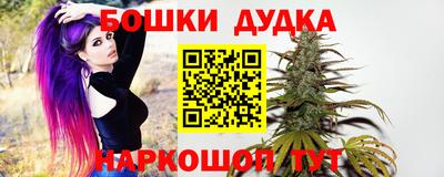 гидра Будённовск