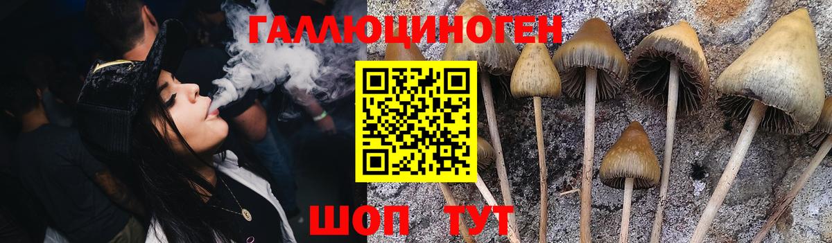 Сосновоборск  Галлюциногенные грибы MAGIC MUSHROOMS  Вход с VPN 
