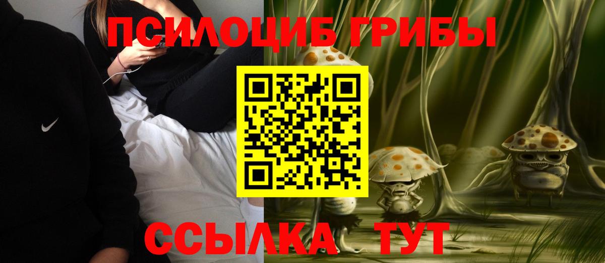 Псилоцибиновые грибы Psilocybine cubensis Сосновоборск